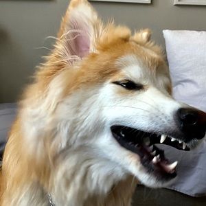 Meet your Posher, Jerome